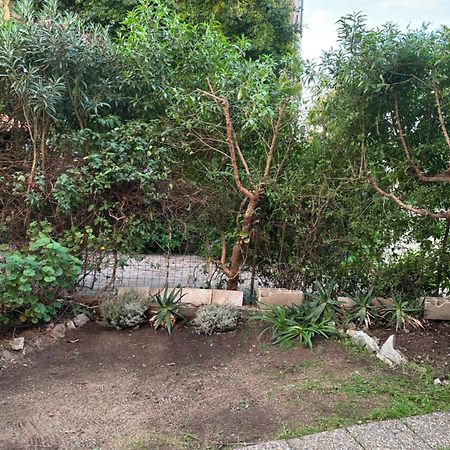 Appartamento Con Giardino A 50 M Dal Mare LʼÎle-Rousse Exteriör bild