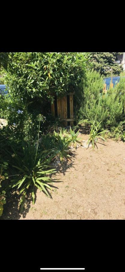 Appartamento Con Giardino A 50 M Dal Mare LʼÎle-Rousse Exteriör bild
