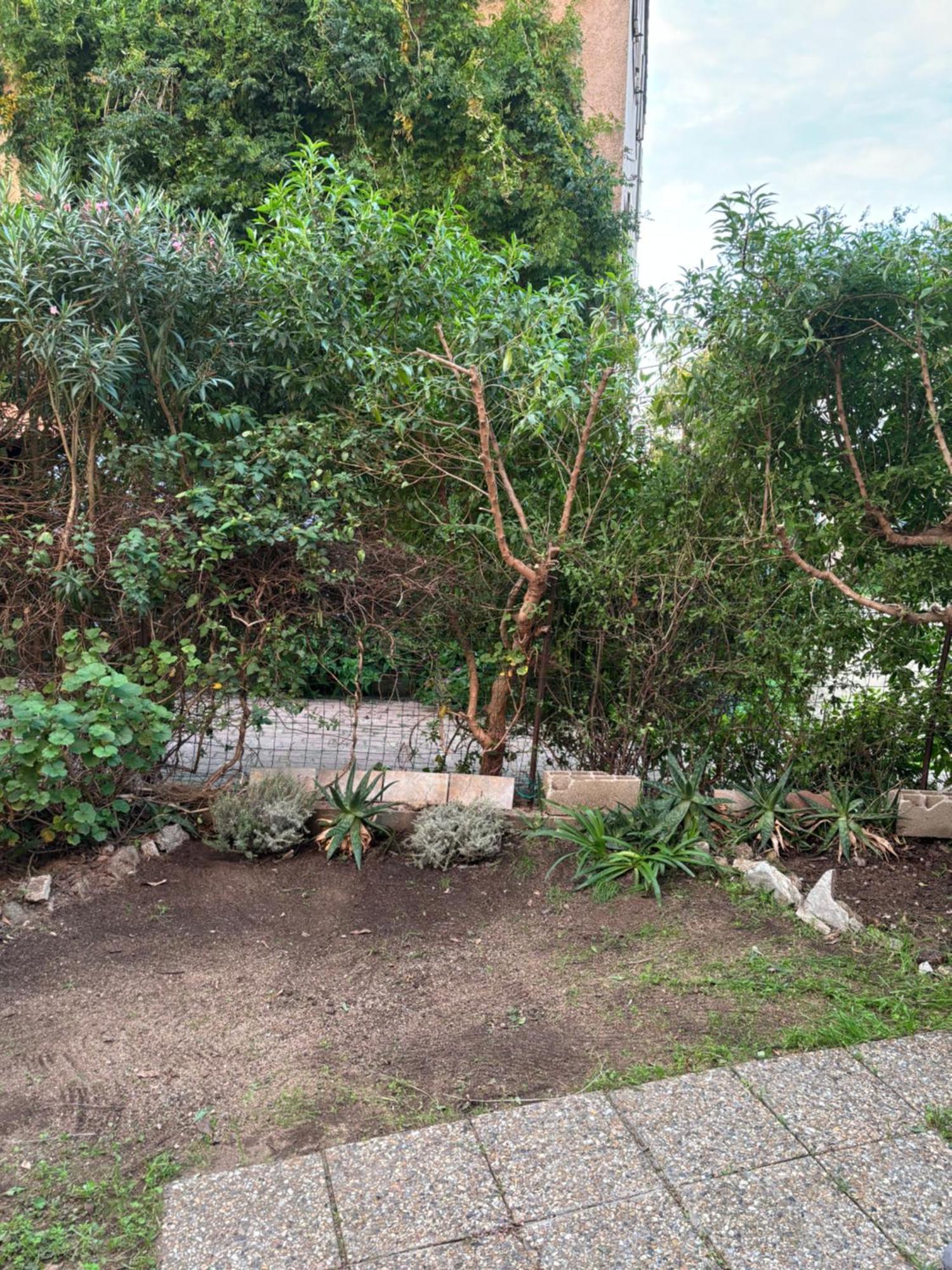 Appartamento Con Giardino A 50 M Dal Mare LʼÎle-Rousse Exteriör bild